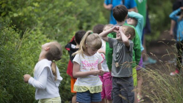 Tanglewood Nature Center children enjoying camp
