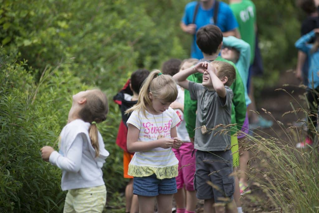 Tanglewood Nature Center children enjoying camp