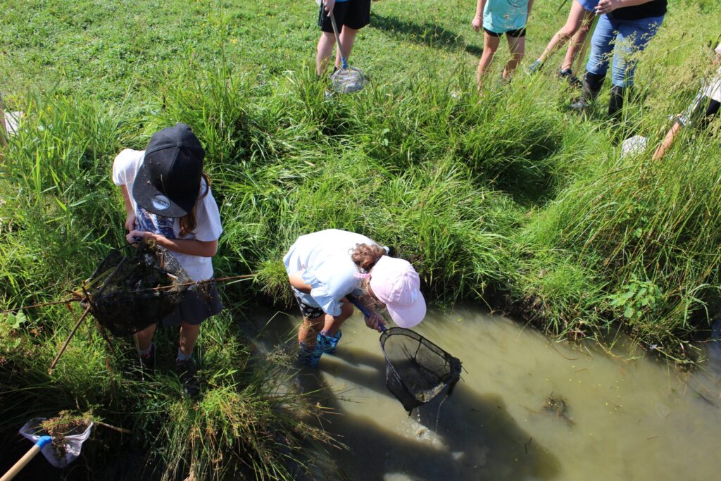 Tanglewood Nature Center children enjoying camp