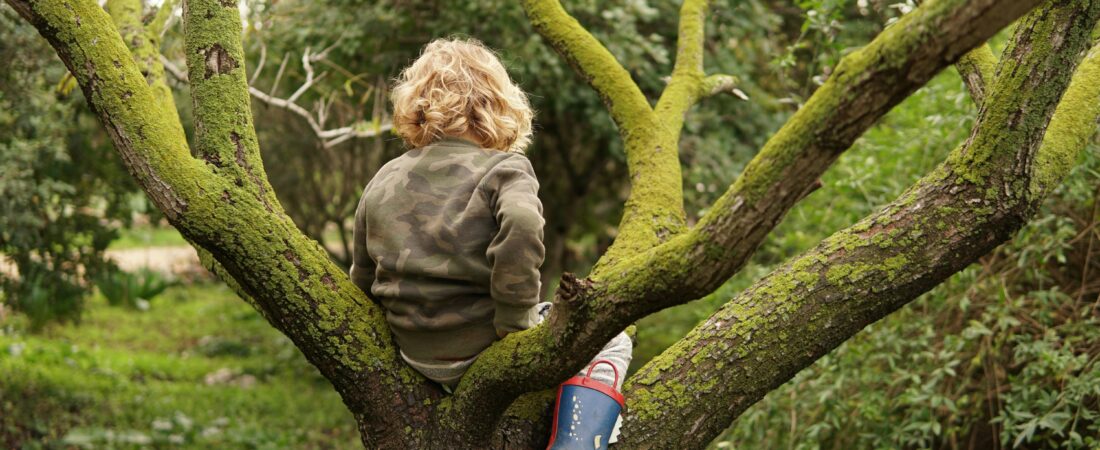 Balanced and Barefoot by Angela J. Hanscom: A Book Every Finger Lakes Parent Should Read