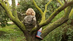 Balanced and Barefoot book review, 2026
