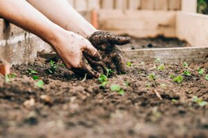 Gardening with Children - Getting them involved outdoors, sewing and growing.