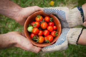 Summer Food Assistance - Free Lunches Available near You