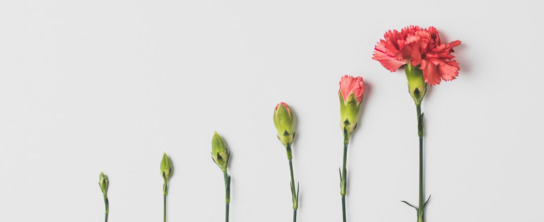 Understanding Childhood Maturity Checkpoints