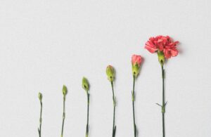 Maturity Checkpoints : Are My Kids behind in their development of maturity?