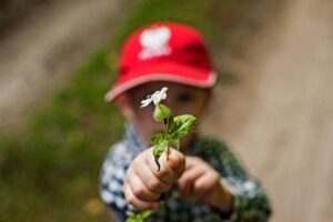 July Dates in the Finger Lakes, Events Happening in Update New York