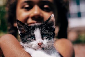What to Say when Your Child Wants a Pet... And You Don't.